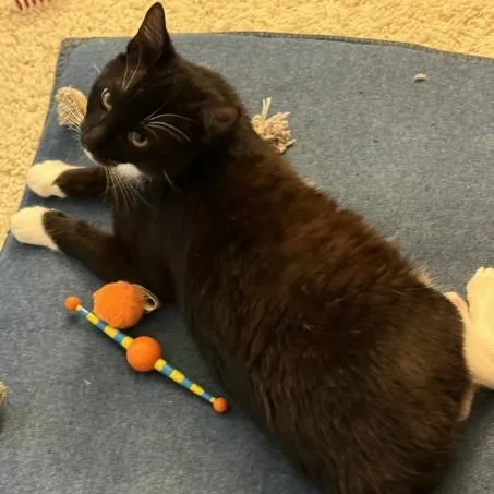 Murphy O'brien thumbnail 4