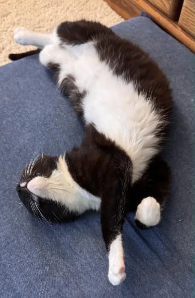 Murphy O'brien thumbnail 5