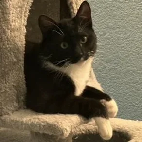 Murphy O'brien thumbnail 6