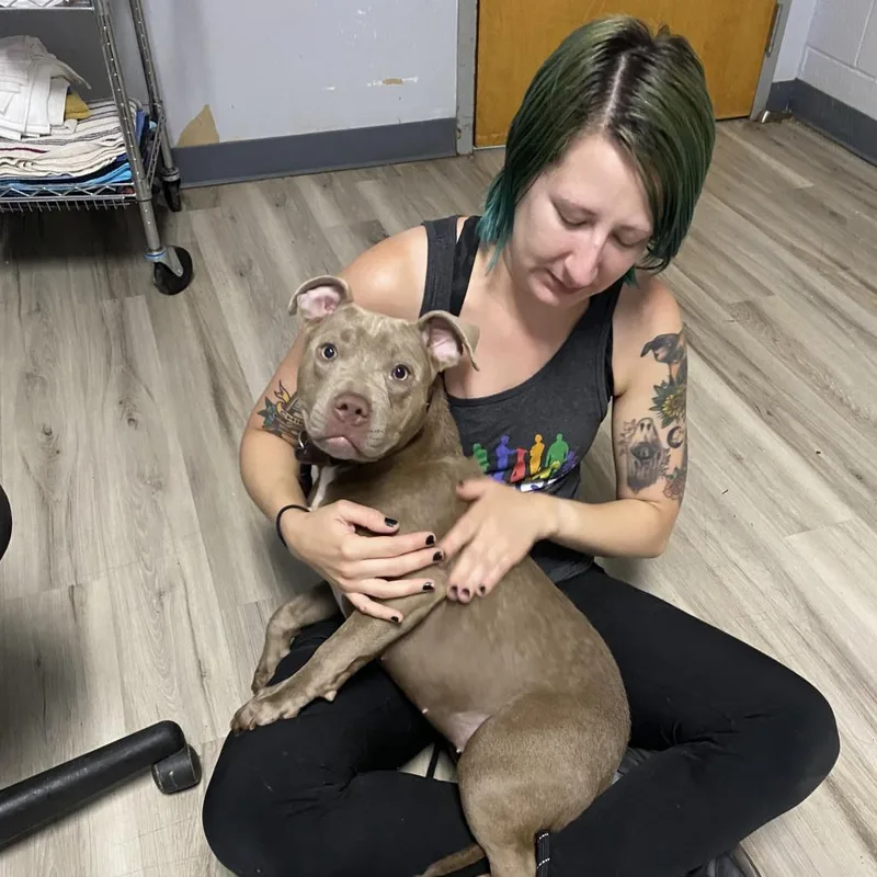 Fairy Dogmother thumbnail 2