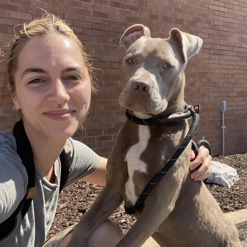 Fairy Dogmother thumbnail 4