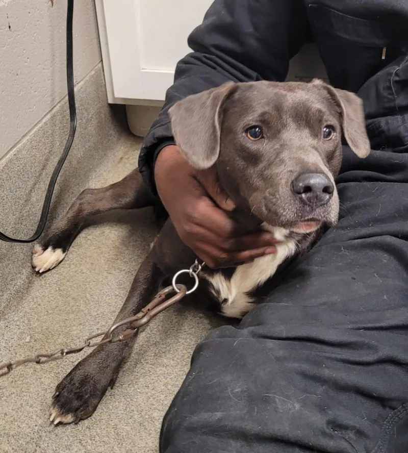 Jessie Girl thumbnail 2