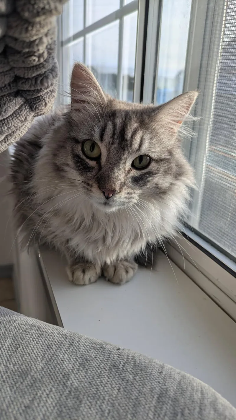 Bruce And Cyril thumbnail 3