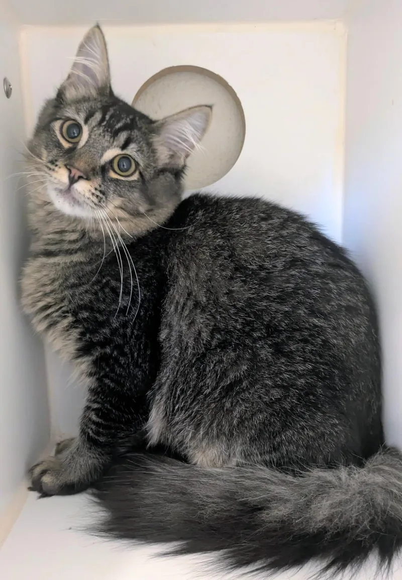 Twilight And Dusk thumbnail 2