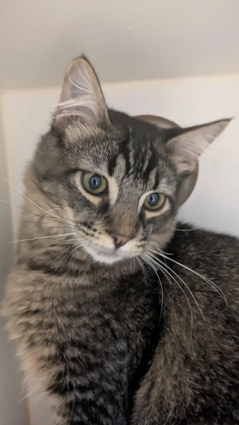 Twilight And Dusk thumbnail 3