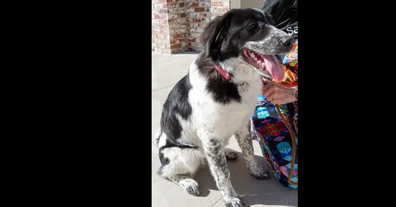 Wintry Mix: Kori thumbnail 2