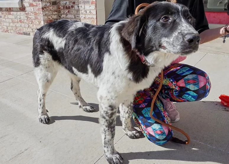 Wintry Mix: Kori thumbnail 3