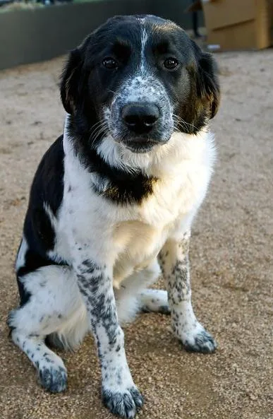 Wintry Mix: Kori thumbnail 4