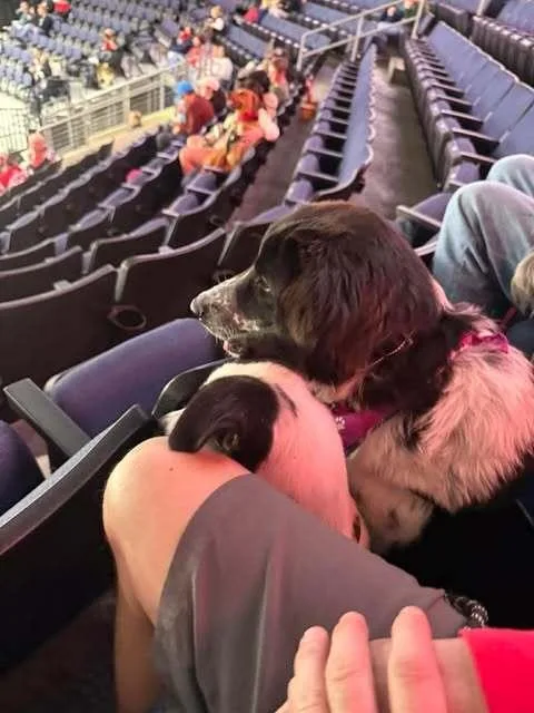 Wintry Mix: Kori thumbnail 5