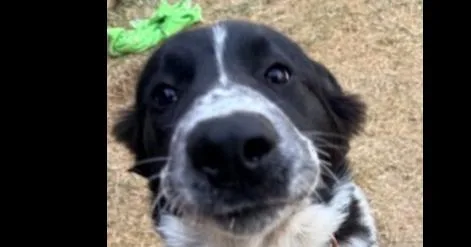 Wintry Mix: Kori thumbnail 6