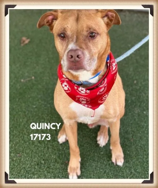 Quincy