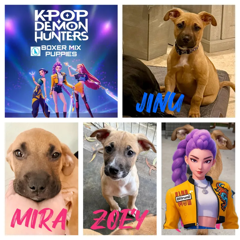 Kpop Demon Hunters Pups