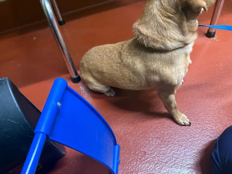 Roy Montoya thumbnail 3