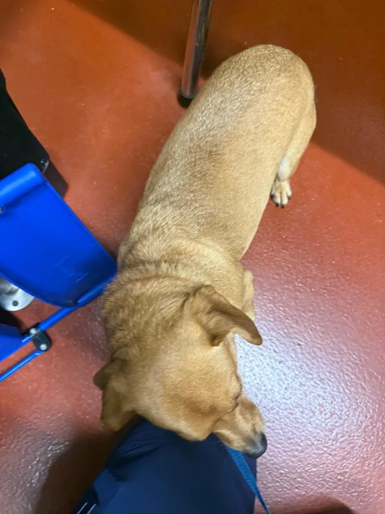 Roy Montoya thumbnail 4