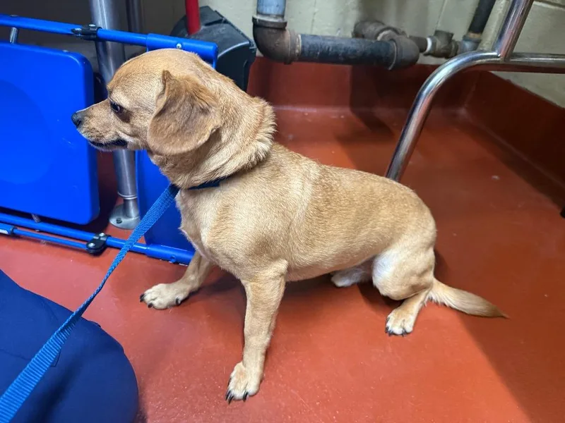 Roy Montoya thumbnail 5