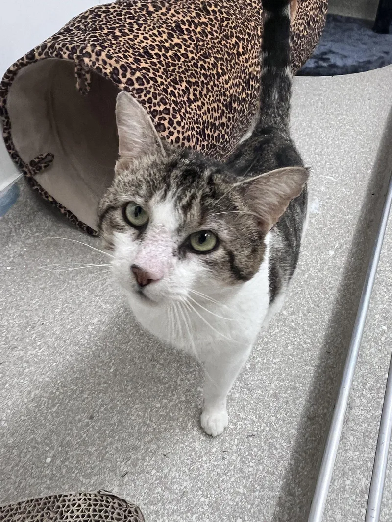 Chester Rm thumbnail 2