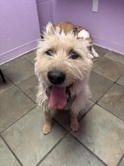 Winndixie thumbnail 2