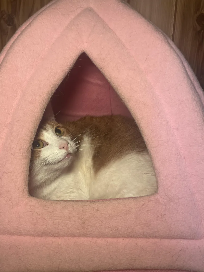 Sunshine And Rain thumbnail 3