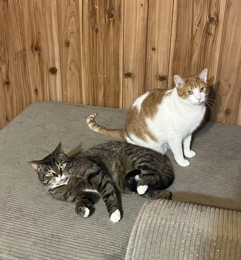 Sunshine And Rain thumbnail 5