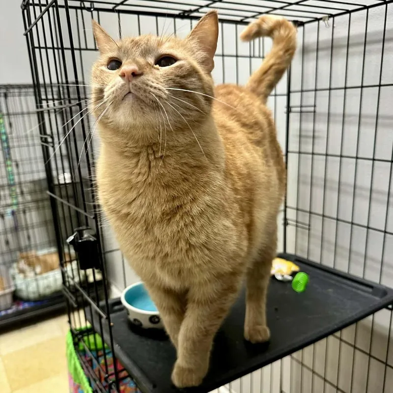 Boydoffice thumbnail 3