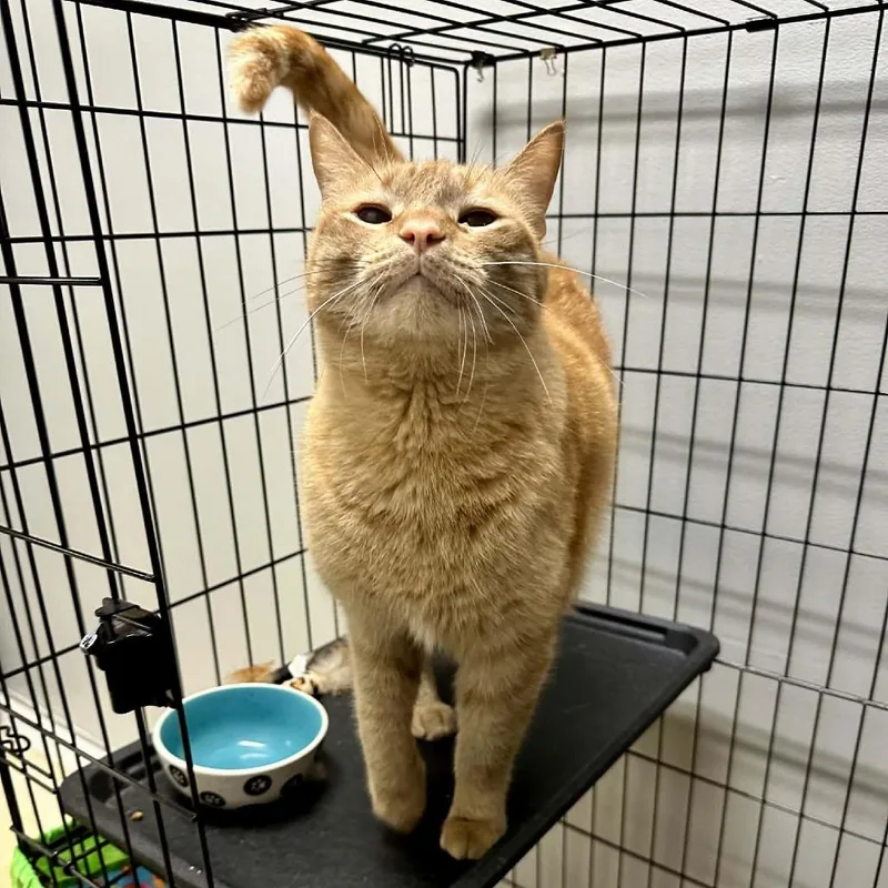 Boydoffice thumbnail 4