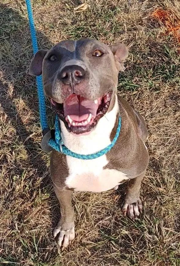 Betty Boop thumbnail 2