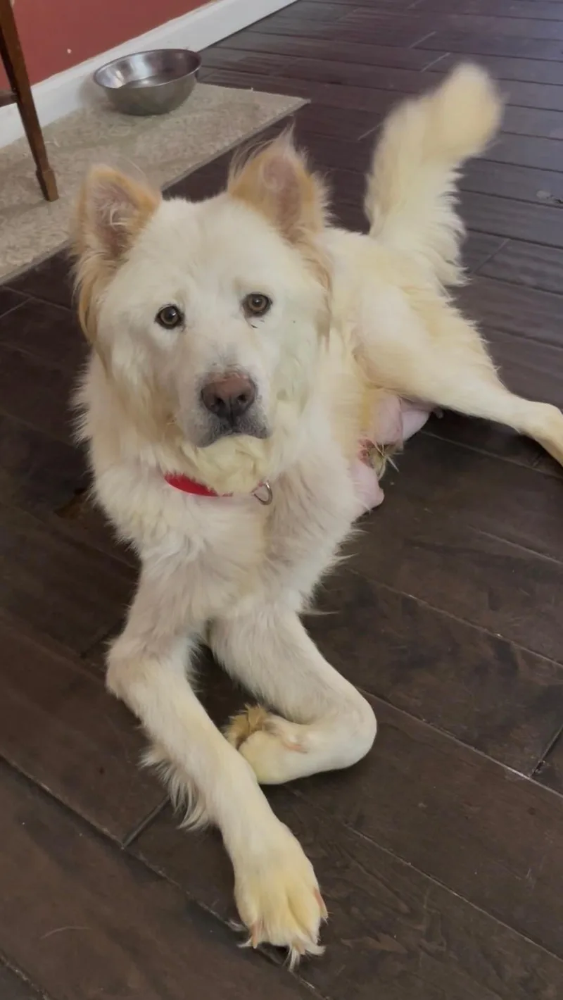 Princess thumbnail 2