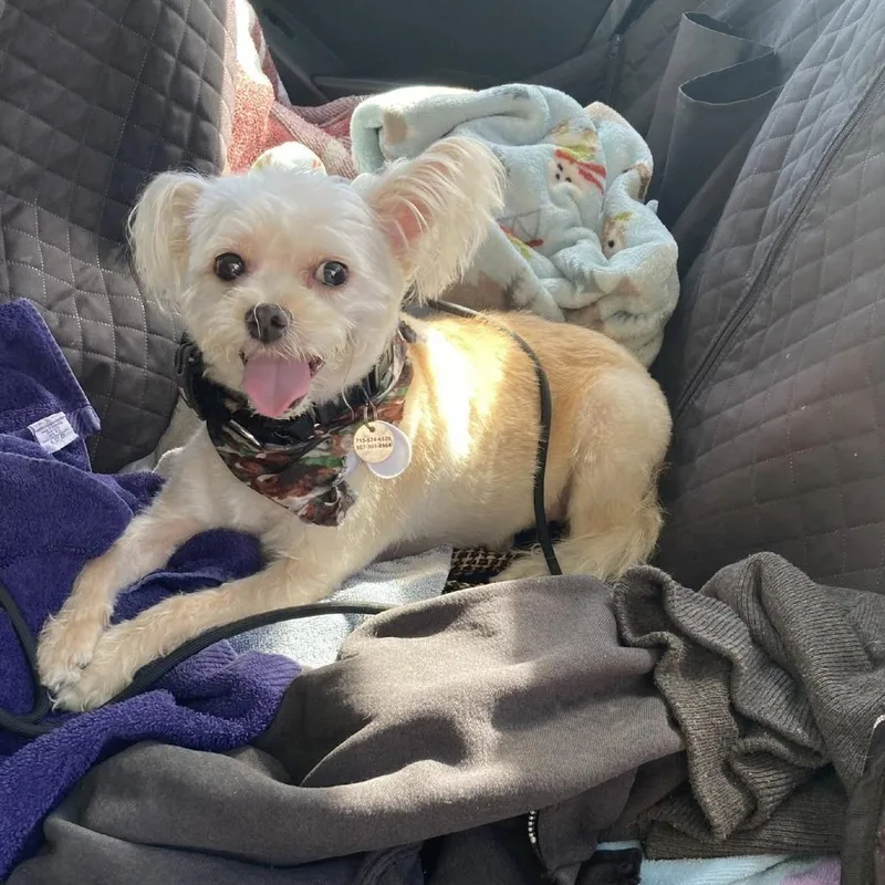 Einstein thumbnail 2