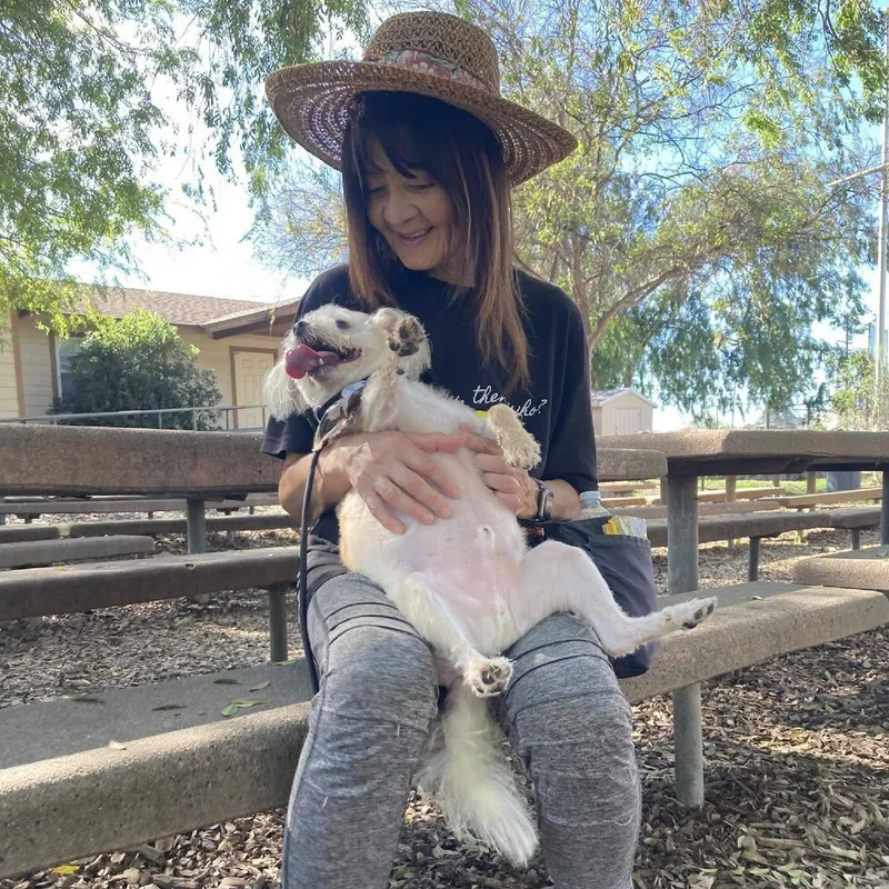 Einstein thumbnail 3