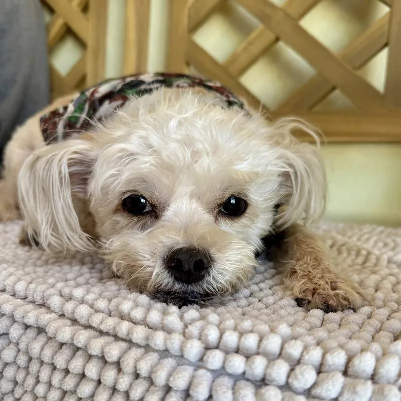 Einstein thumbnail 5