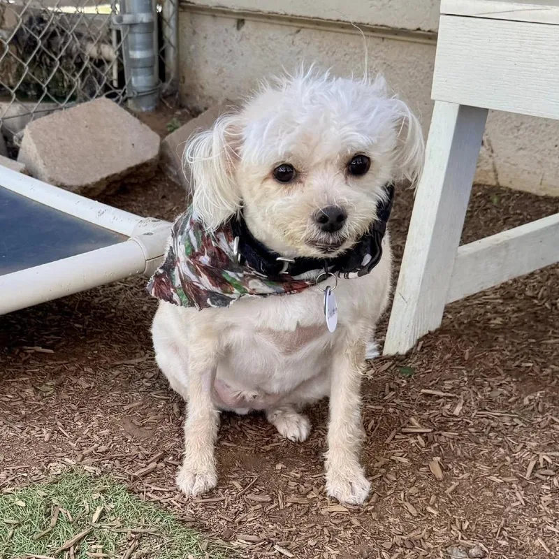 Einstein thumbnail 6