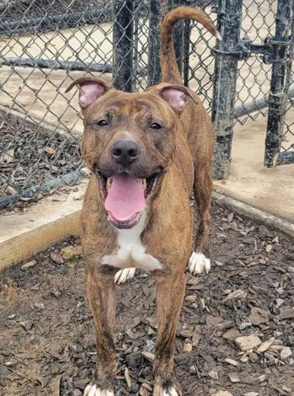 Geronimo thumbnail 2