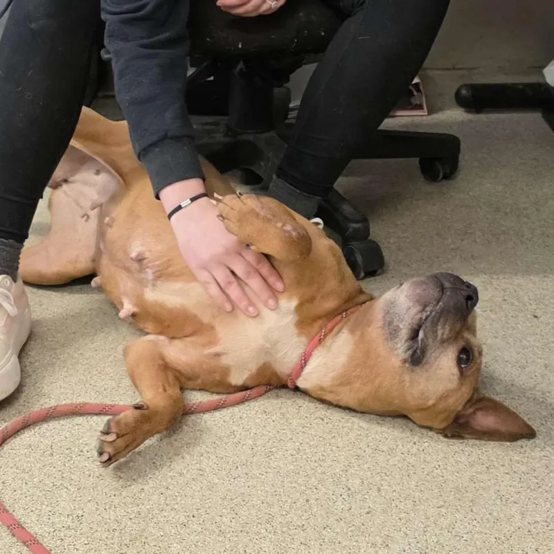 Maryland thumbnail 2