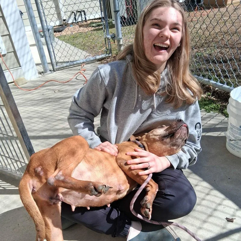 Maryland thumbnail 3