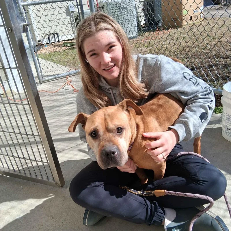 Maryland thumbnail 4