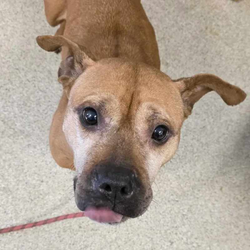 Maryland thumbnail 5