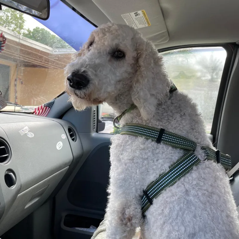 Nebula West thumbnail 2