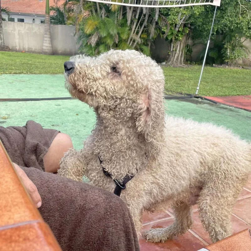 Nebula West thumbnail 3