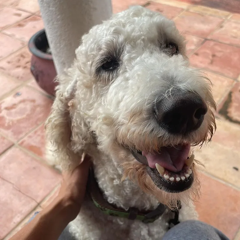 Nebula West thumbnail 6