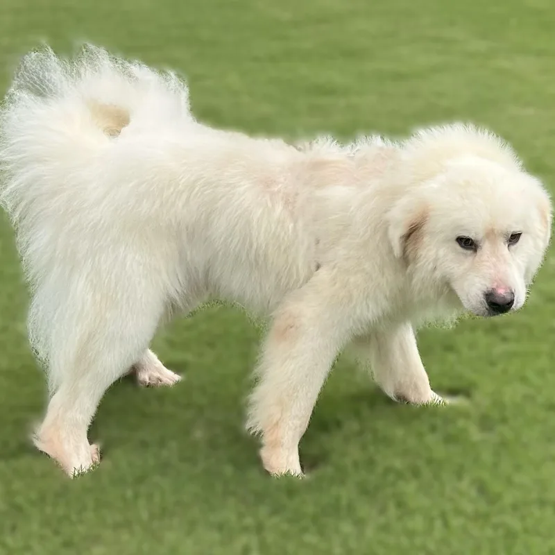 Jasper Milano thumbnail 2