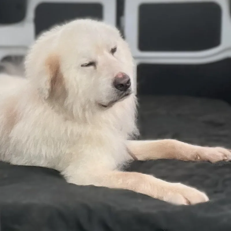 Jasper Milano thumbnail 3