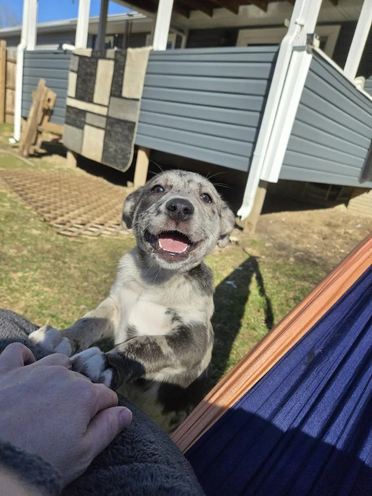 Miss Fiona thumbnail 2