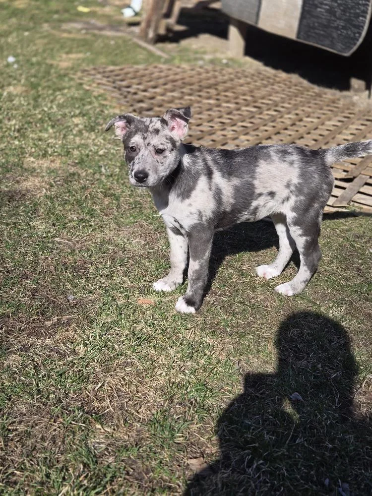 Miss Fiona thumbnail 4