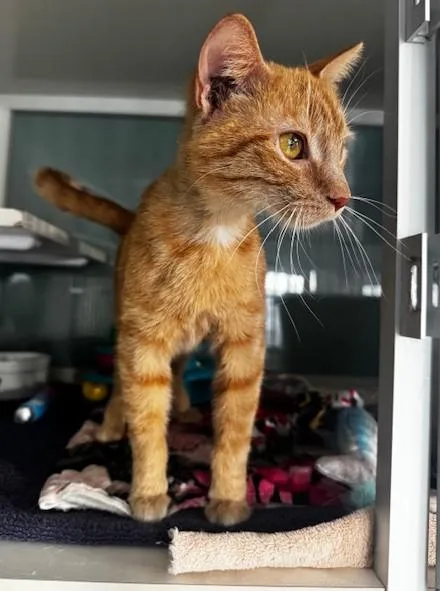 Valencia thumbnail 2