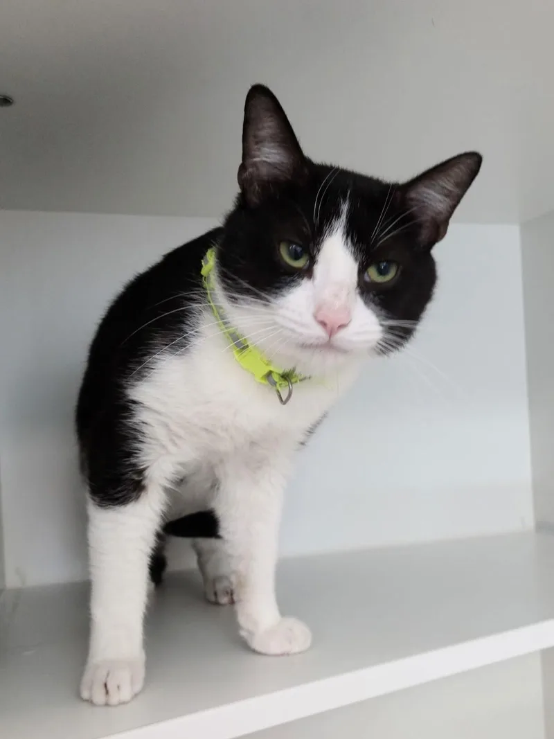 Fiedel Mckelvey thumbnail 2