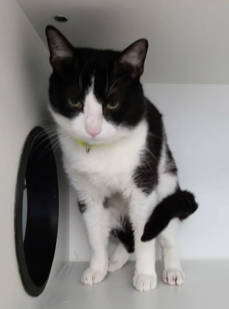 Fiedel Mckelvey thumbnail 3