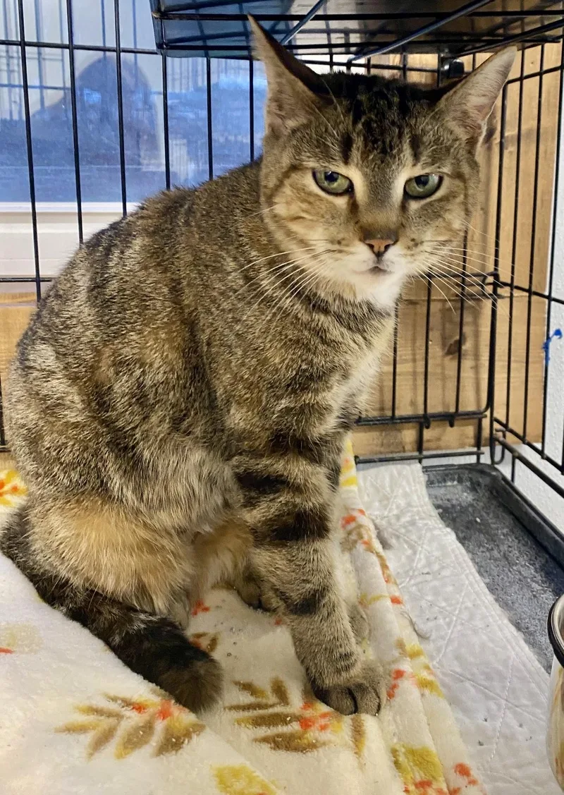 Isabella thumbnail 2