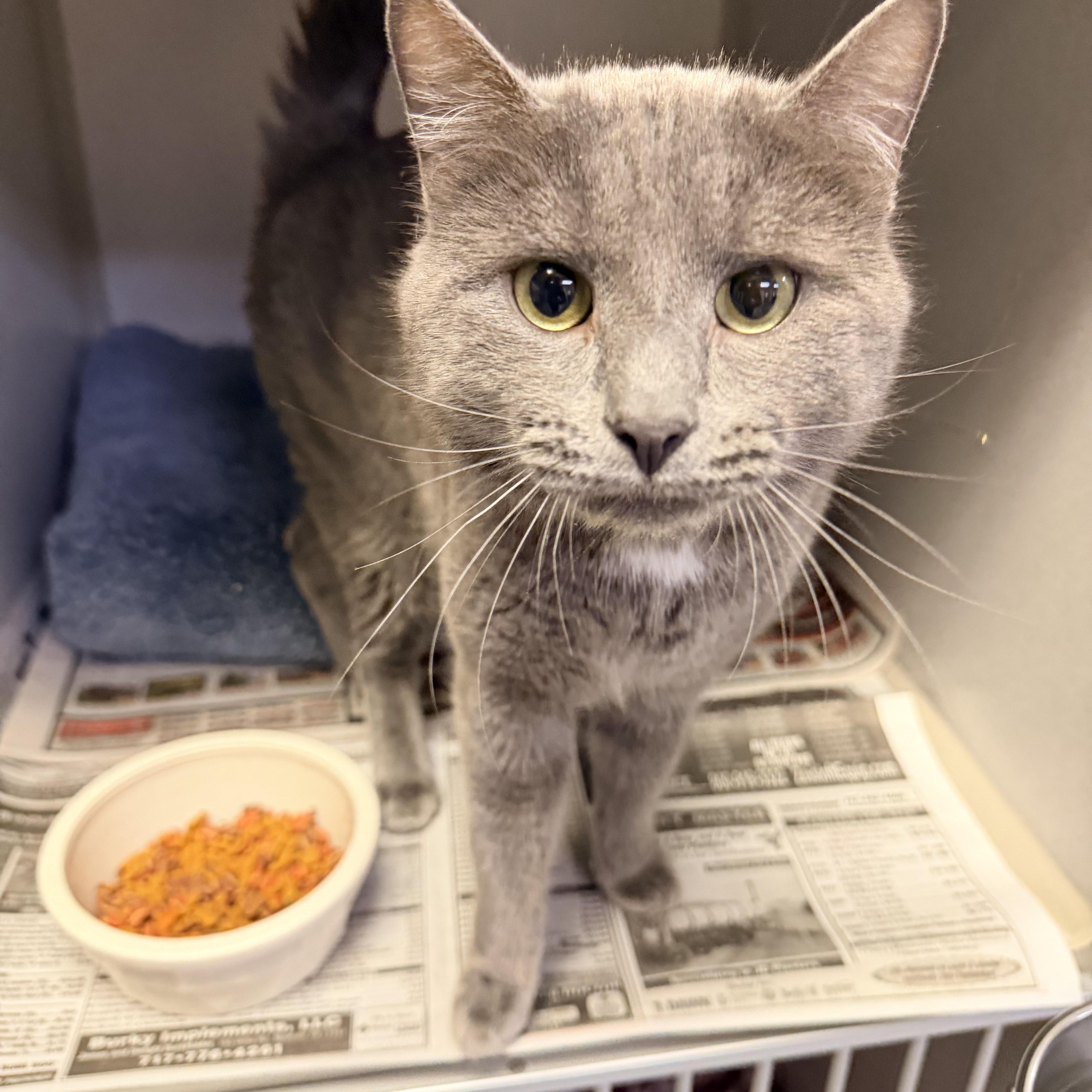 Perry Mason thumbnail 2