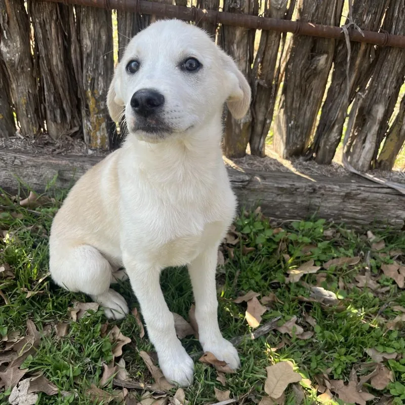 Tallulah thumbnail 5