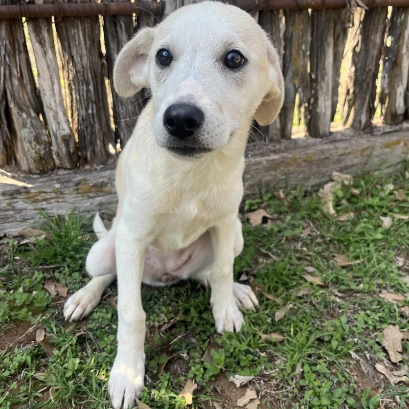 Quinnley thumbnail 2